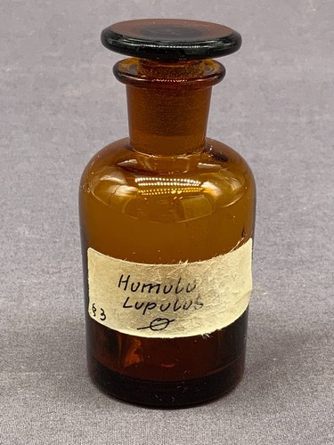 Apothekerflasche apotheker - apothekerflasche,